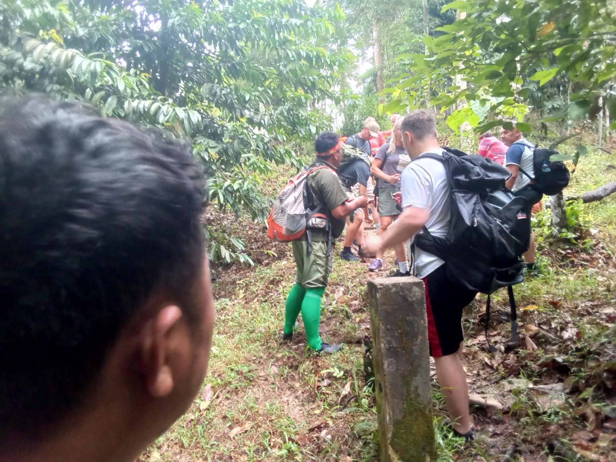 Jungle Treking & Jungle Tour If You Want To Stay Here,You Must Book Treking Only With Us Bukit Lawang Exteriér fotografie