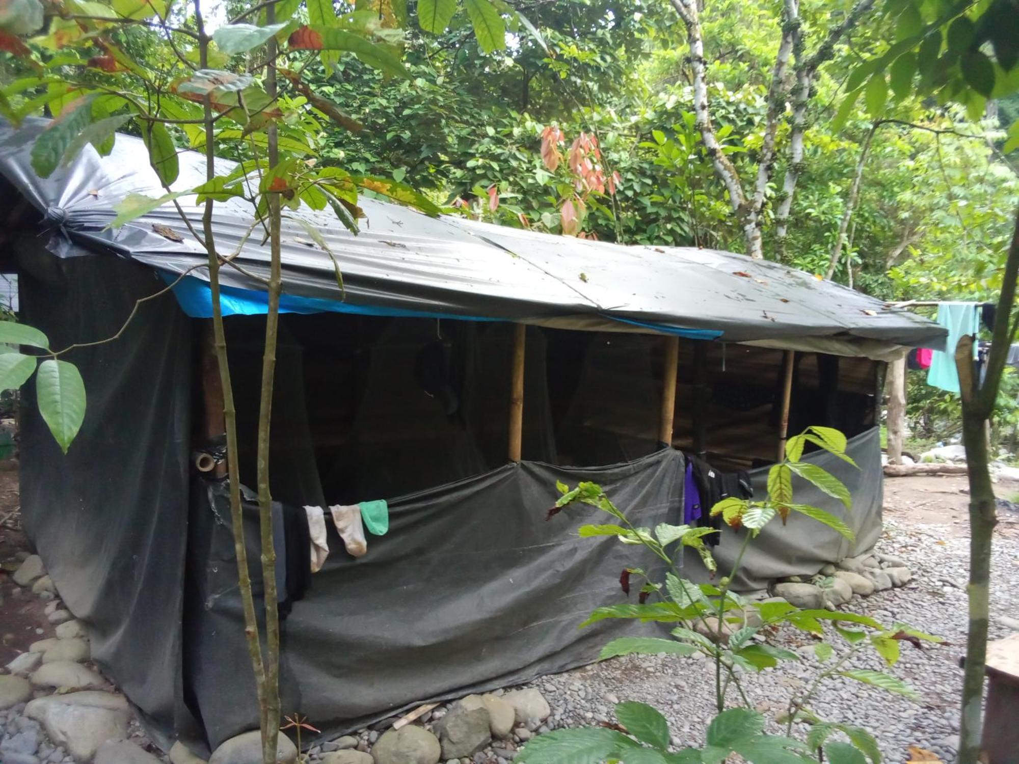 Jungle Treking & Jungle Tour If You Want To Stay Here,You Must Book Treking Only With Us Bukit Lawang Exteriér fotografie