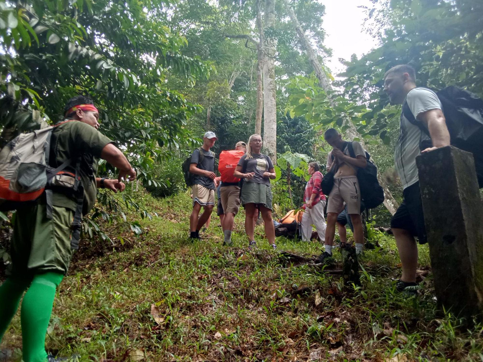 Jungle Treking & Jungle Tour If You Want To Stay Here,You Must Book Treking Only With Us Bukit Lawang Exteriér fotografie