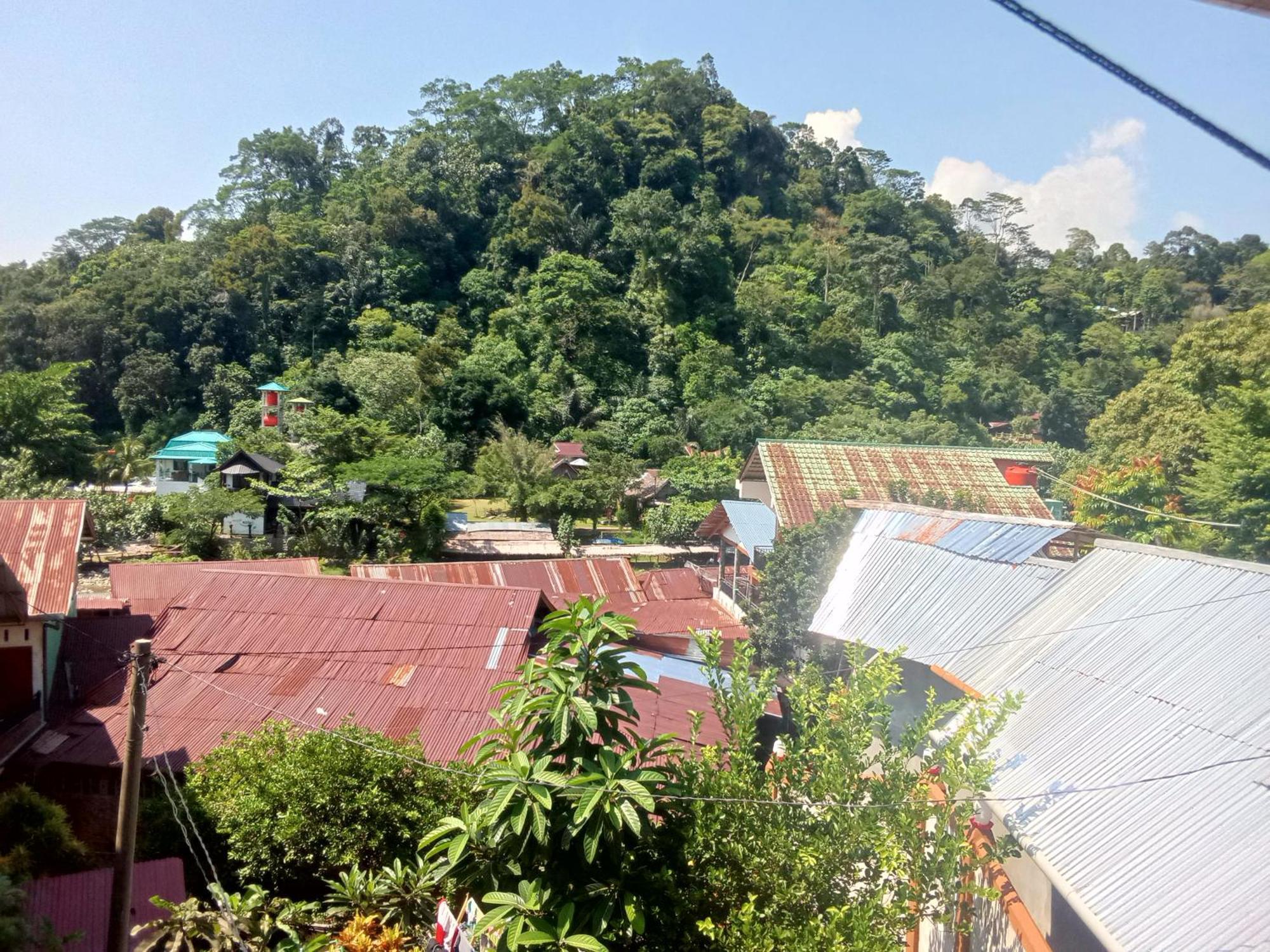 Jungle Treking & Jungle Tour If You Want To Stay Here,You Must Book Treking Only With Us Bukit Lawang Exteriér fotografie