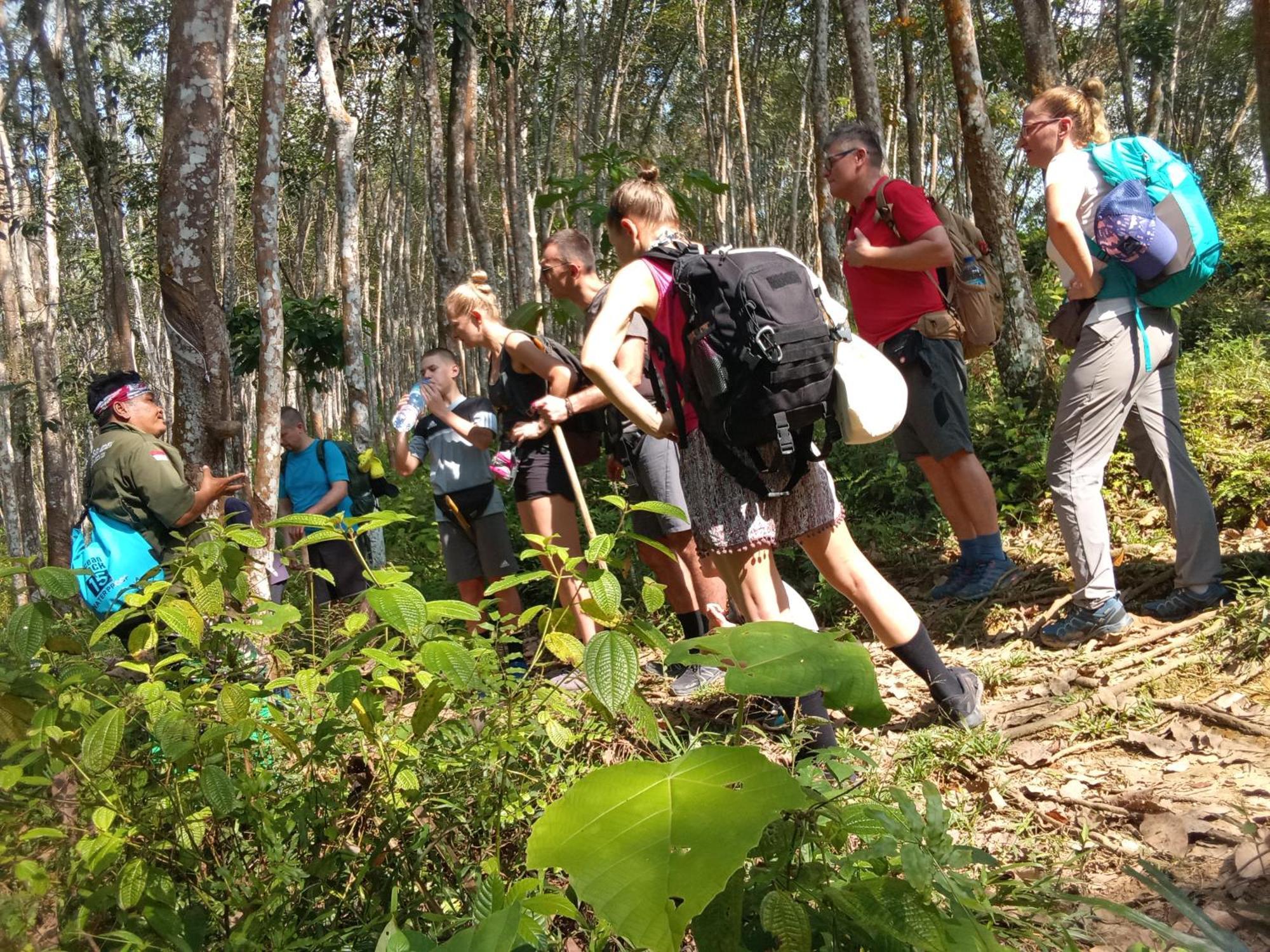 Jungle Treking & Jungle Tour If You Want To Stay Here,You Must Book Treking Only With Us Bukit Lawang Exteriér fotografie